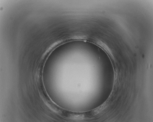 X0000083560155200702162036