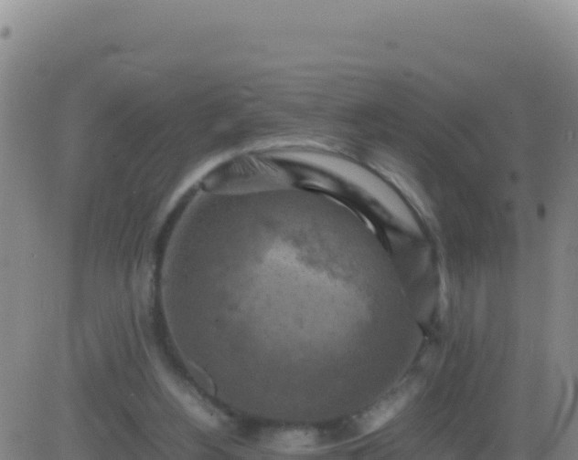 X0000083560156200702162036