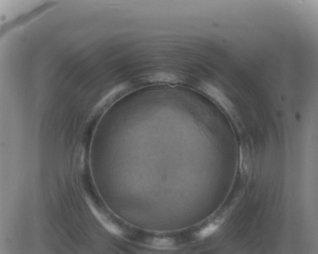 X0000083560157200702162036