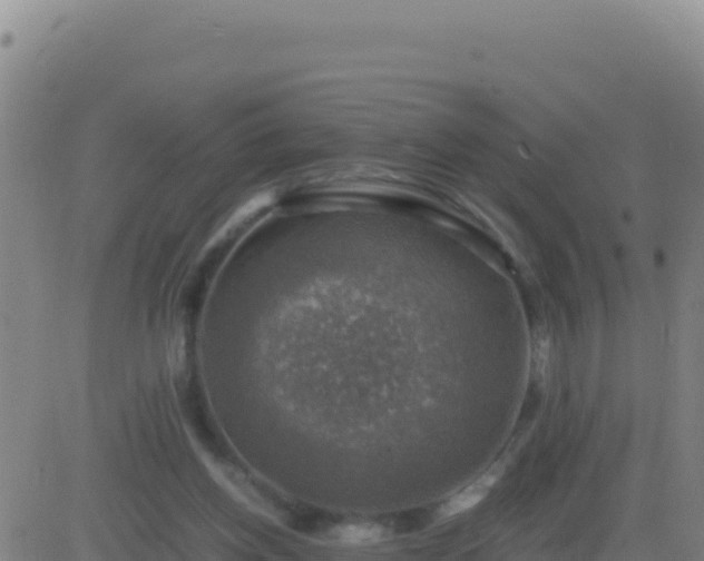 X0000083560158200702162036