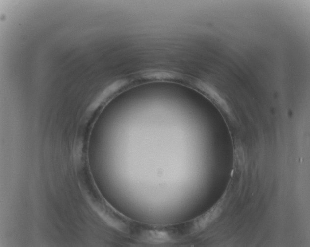 X0000083560159200702162036