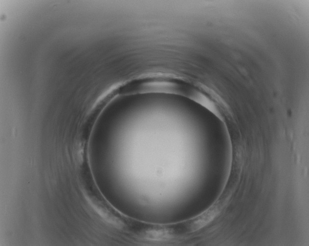 X0000083560160200702162036