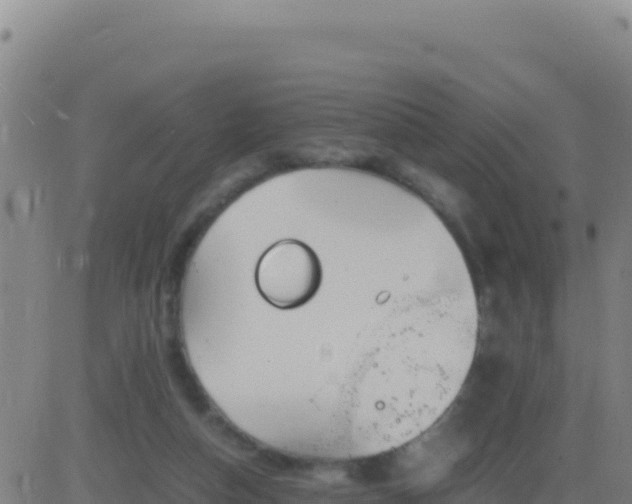 X0000083560162200702162036