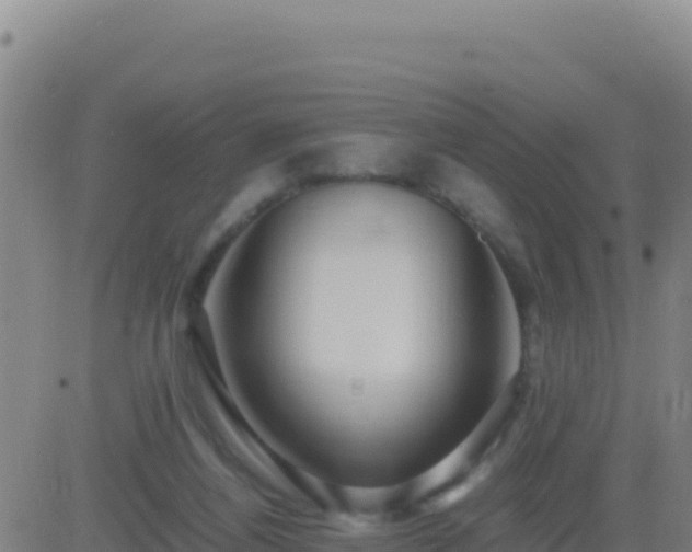 X0000083560164200702162036