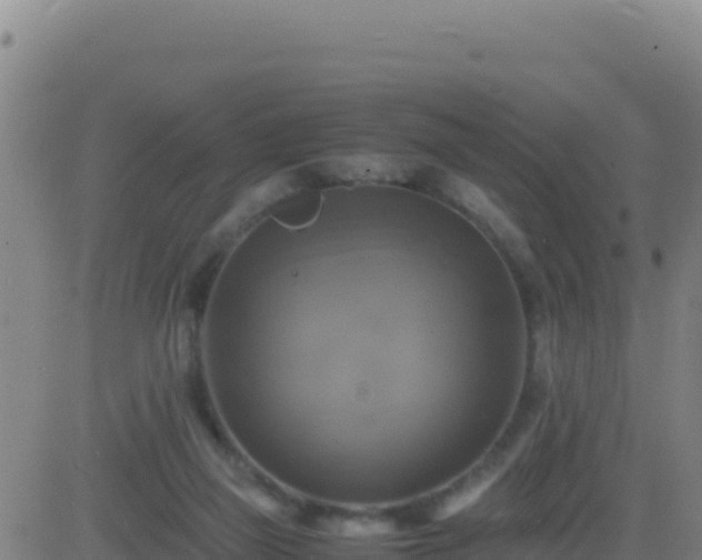 X0000083560165200702162036