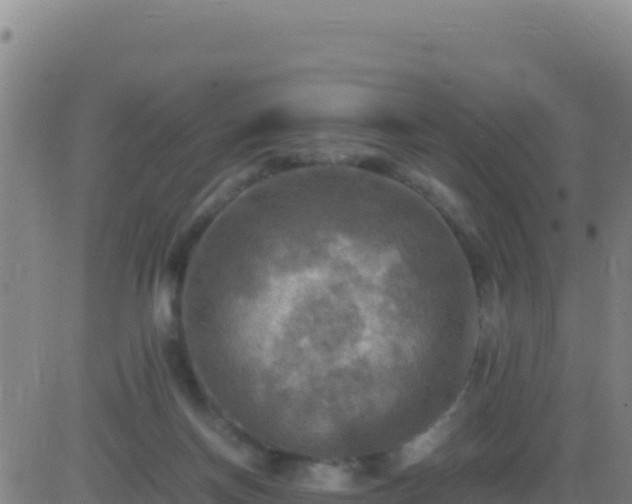 X0000083560166200702162036