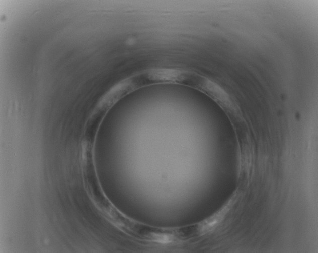 X0000083560167200702162036