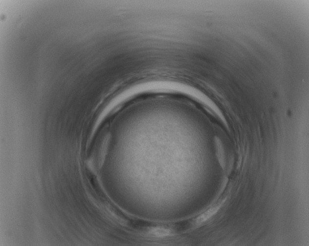 X0000083560168200702162036