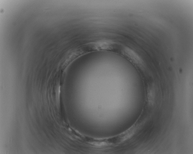 X0000083560169200702162036