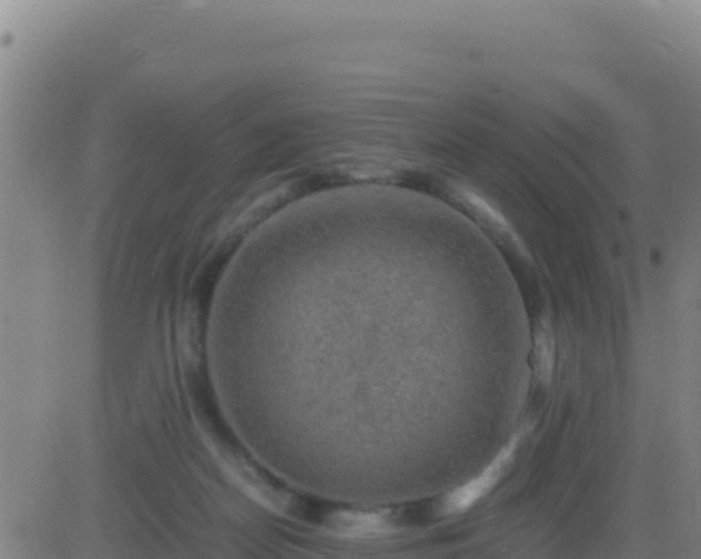 X0000083560170200702162036