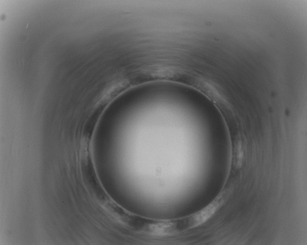 X0000083560172200702162037