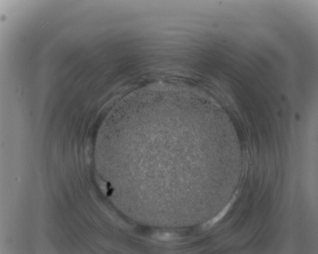 X0000083560174200702162037