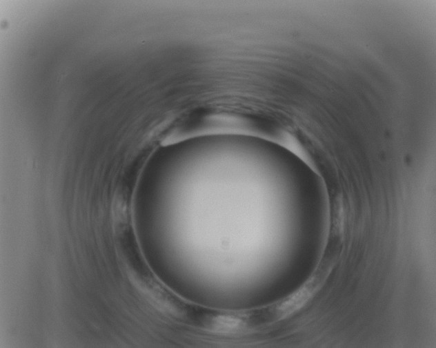 X0000083560176200702162037