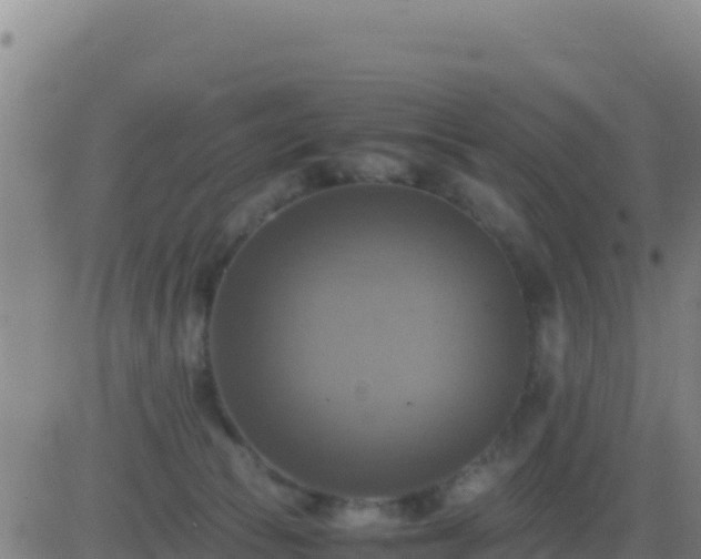 X0000083560177200702162037