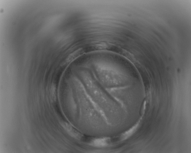 X0000083560178200702162037