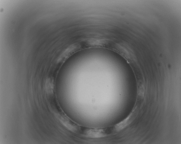 X0000083560179200702162037