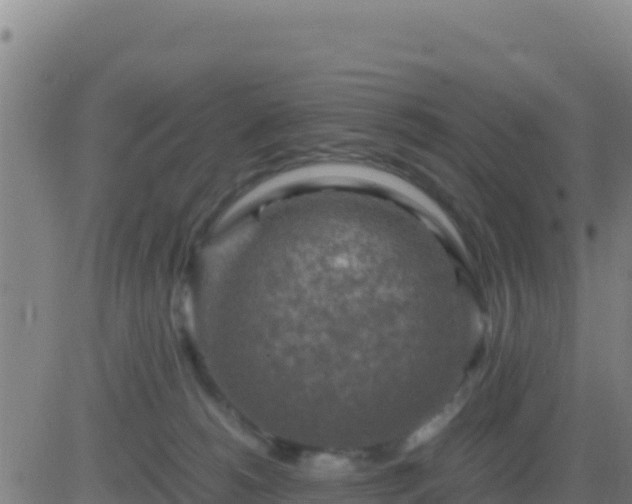 X0000083560180200702162037