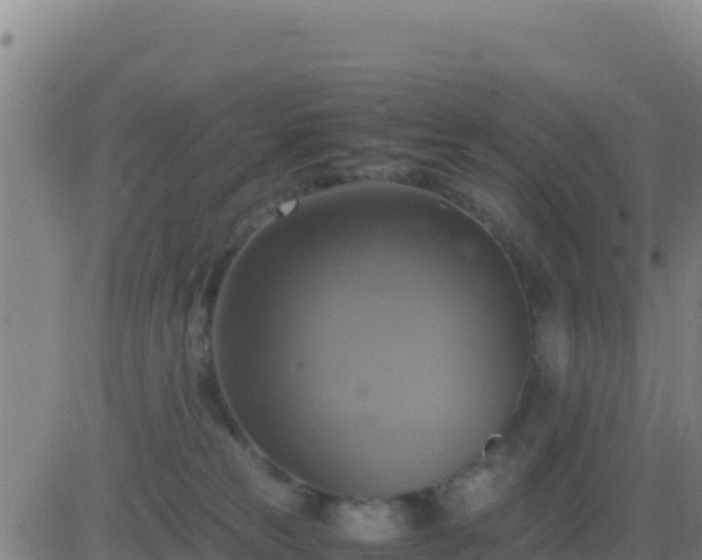 X0000083560181200702162037