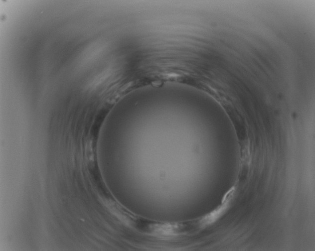 X0000083560182200702162037