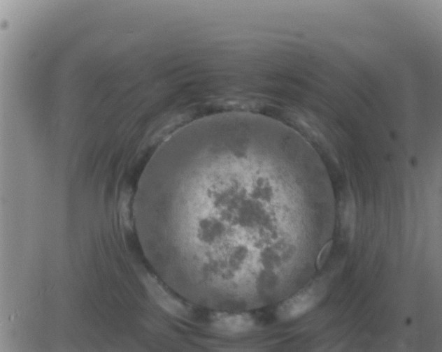 X0000083560185200702162037