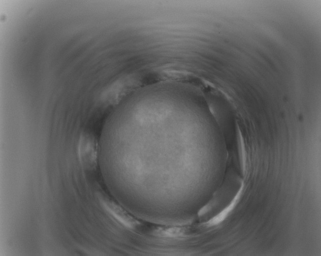 X0000083560186200702162037