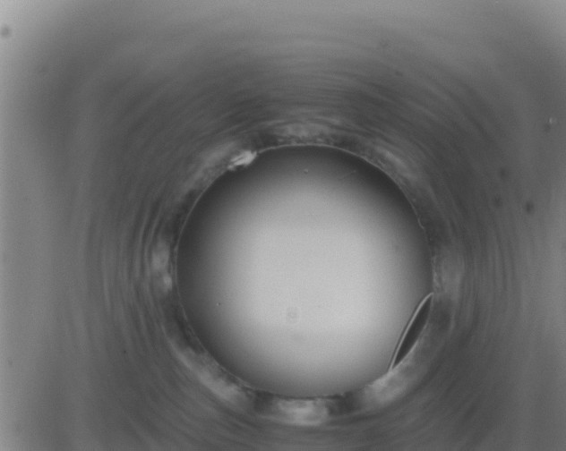 X0000083560187200702162037