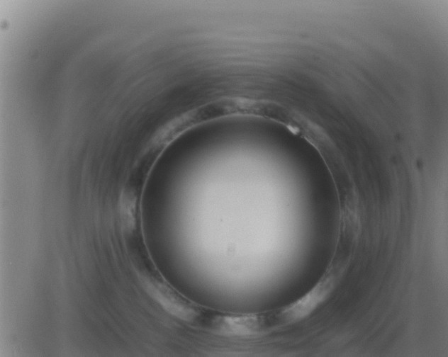 X0000083560188200702162037