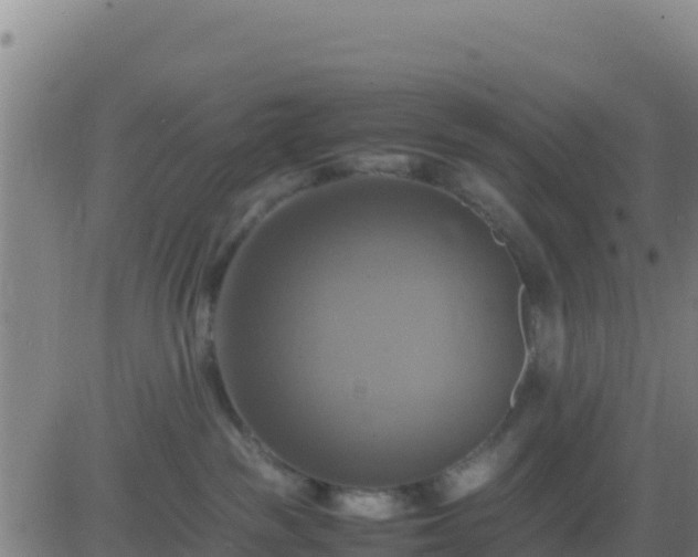 X0000083560189200702162037