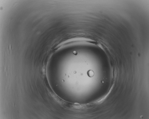 X0000083560190200702162037