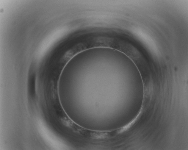 X0000083560191200702162037