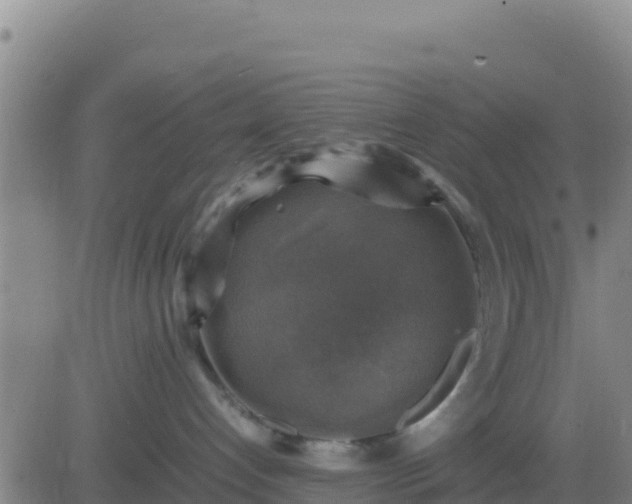 X0000083560192200702162037