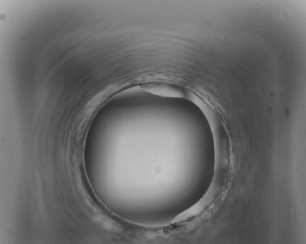 X0000083560193200702162036