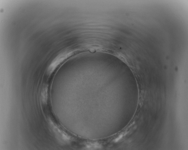 X0000083560194200702162036