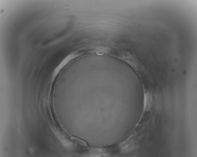 X0000083560195200702162036