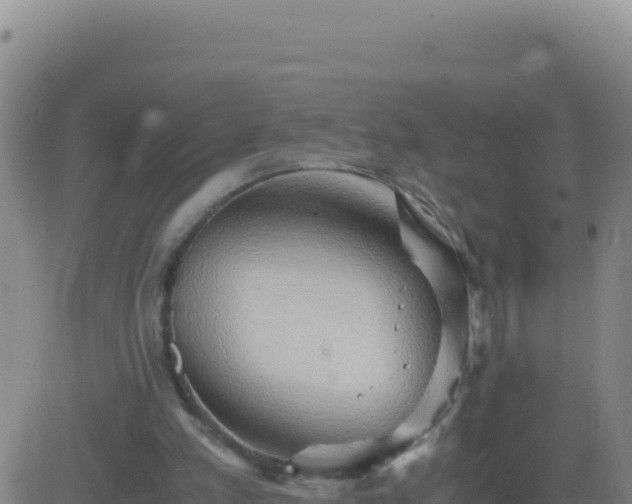 X0000083560197200702162036