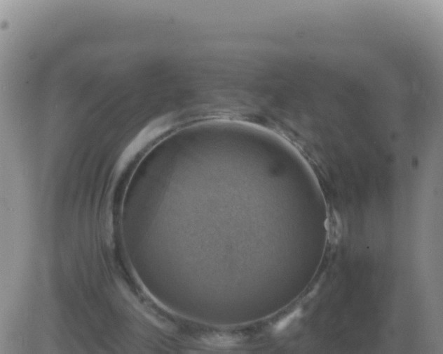 X0000083560198200702162036