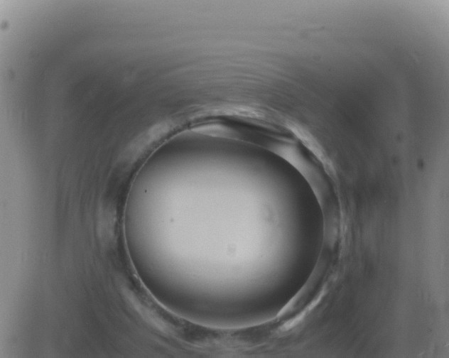 X0000083560201200702162036