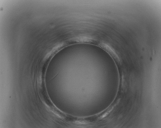 X0000083560202200702162036