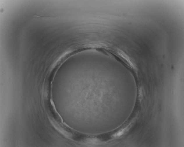 X0000083560203200702162036