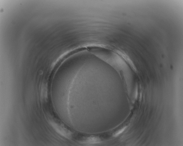 X0000083560204200702162036