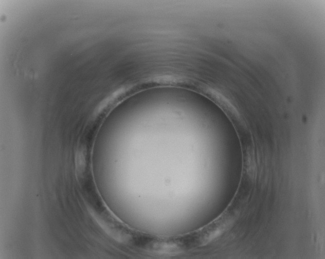 X0000083560208200702162036