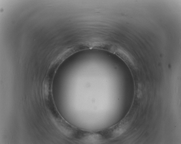 X0000083560210200702162036