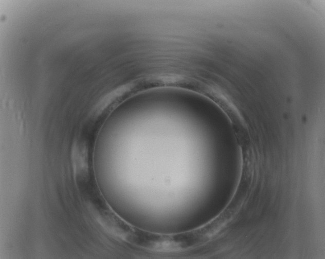 X0000083560212200702162036