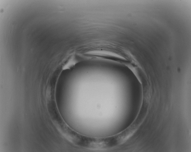 X0000083560213200702162036