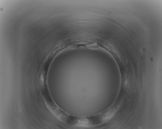 X0000083560214200702162036