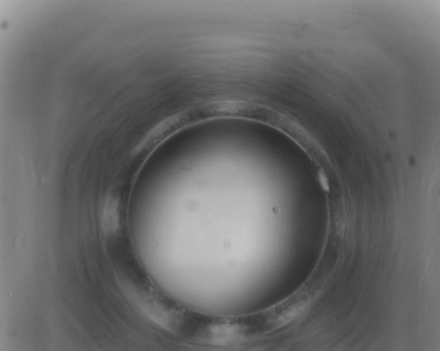 X0000083560216200702162036