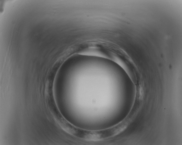 X0000083560217200702162036