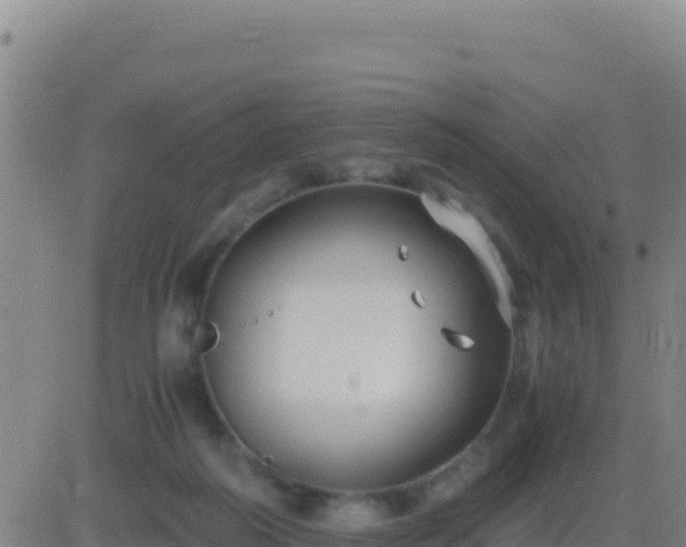 X0000083560218200702162036