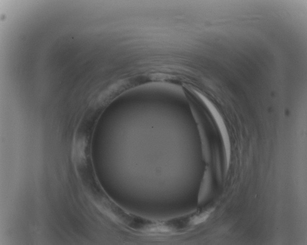 X0000083560219200702162036