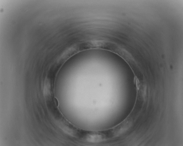 X0000083560220200702162036